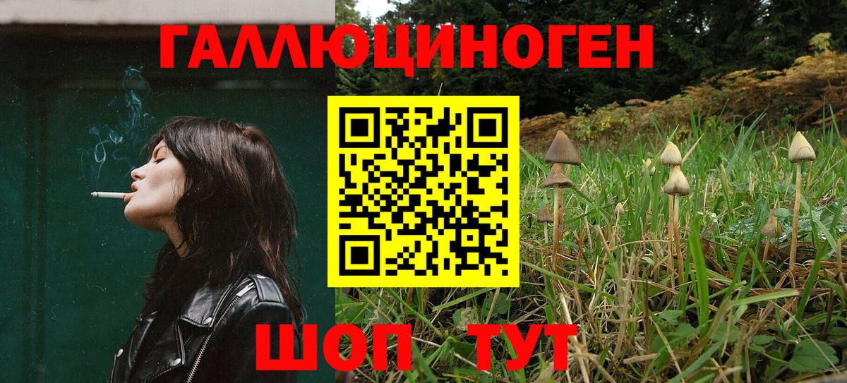 Псилоцибиновые грибы GOLDEN TEACHER  Псилоцибиновые грибы MAGIC MUSHROOMS  Нижний Новгород  Вход с VPN 