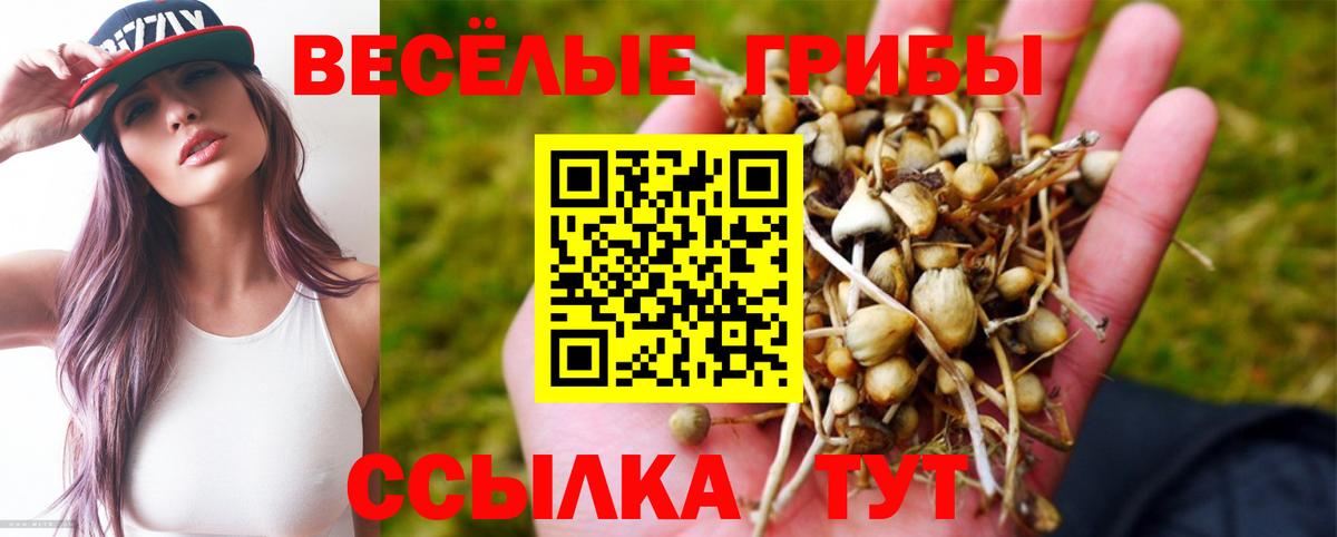 Псилоцибиновые грибы Psilocybe Нижний Новгород